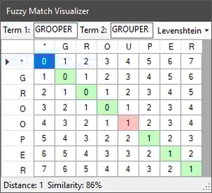 Fuzzy Match Visualizer