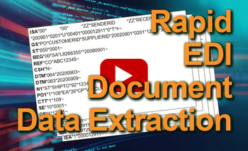 edi document data extraction video
