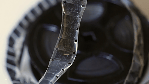 Microfilm vs Microfiche: Conversion Services and Differences